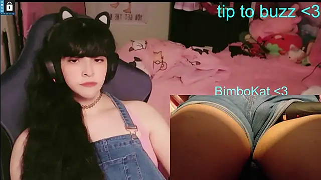 BimboCat: вебкам-шоу