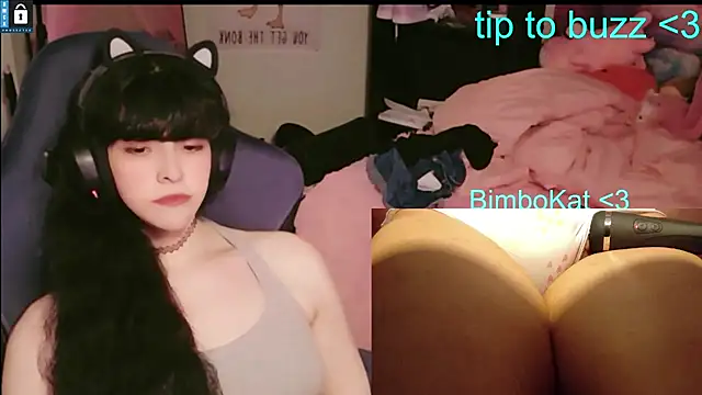 BimboCat: διαδικτυακό σόου στην κάμερα