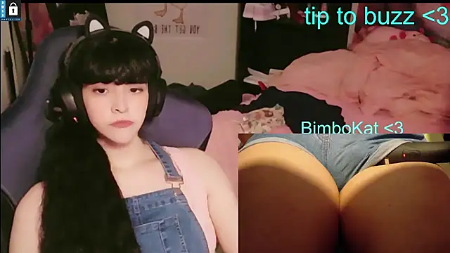 BimboCat: вебкам-шоу