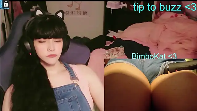 Show Webcam de BimboCat