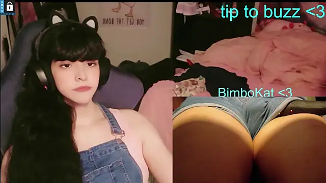 BimboCat: вебкам-шоу