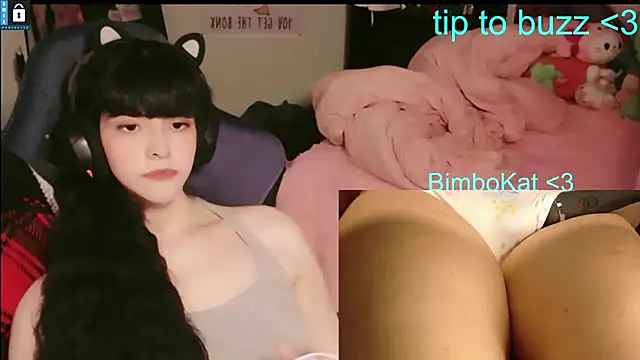 BimboCat Show Webcam