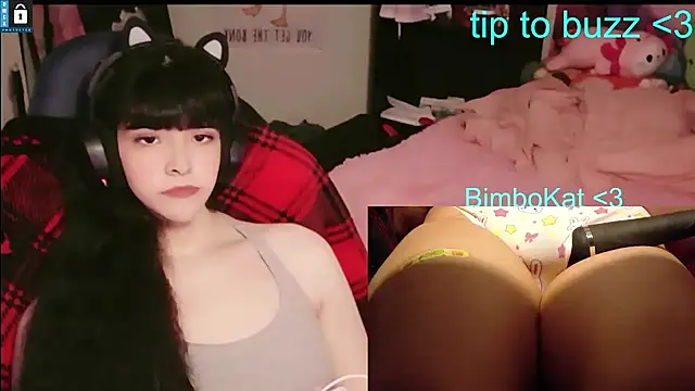 BimboCat Show Webcam