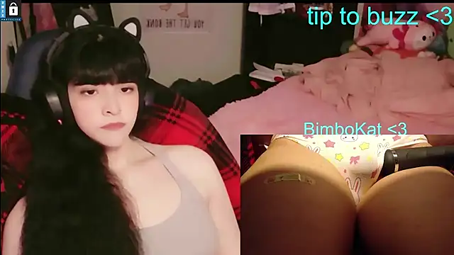 BimboCat: διαδικτυακό σόου στην κάμερα