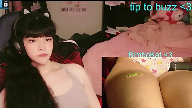 הופעת וובקאם של BimboCat