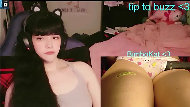 BimboCat: διαδικτυακό σόου στην κάμερα