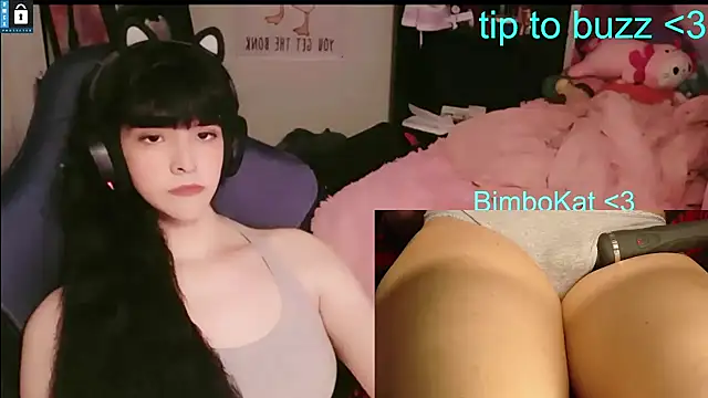 BimboCat webkamerás műsora