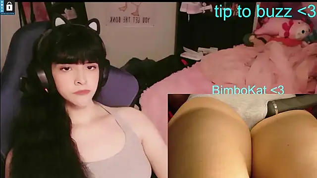 BimboCat webkamerás műsora