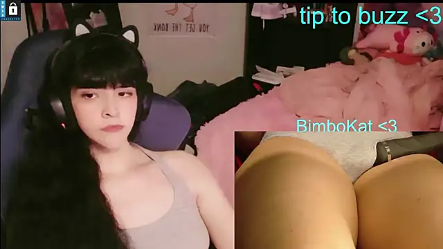 Show Webcam de BimboCat