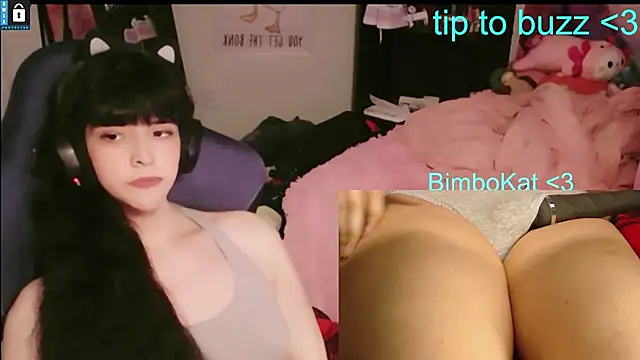 BimboCat – Kamerová šou