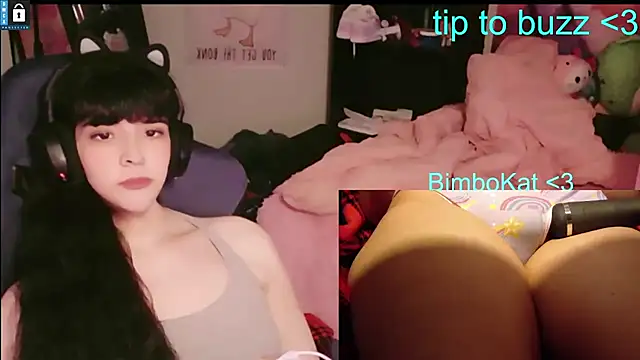 Show webcam de BimboCat