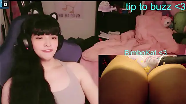 Show webcam de BimboCat