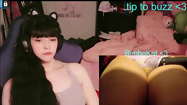 Show de BimboCat na webcam