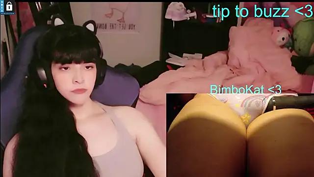 Pertunjukan Kamera Web BimboCat