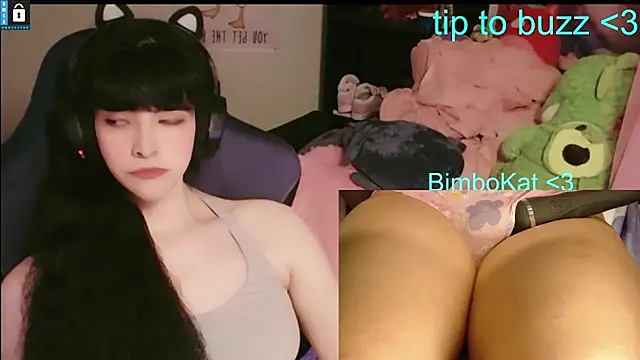 BimboCat webkamerás műsora