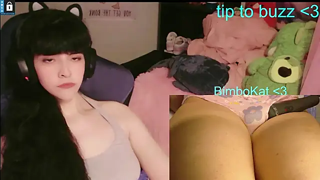 BimboCat: вебкам-шоу