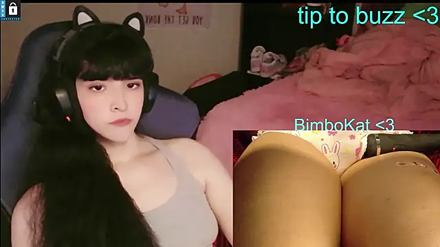 Show Webcam de BimboCat