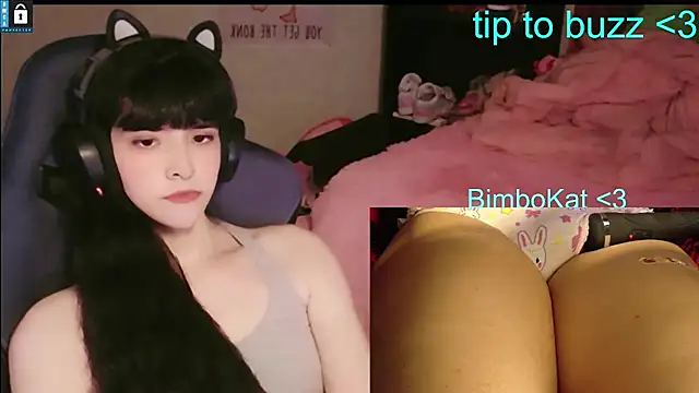 הופעת וובקאם של BimboCat