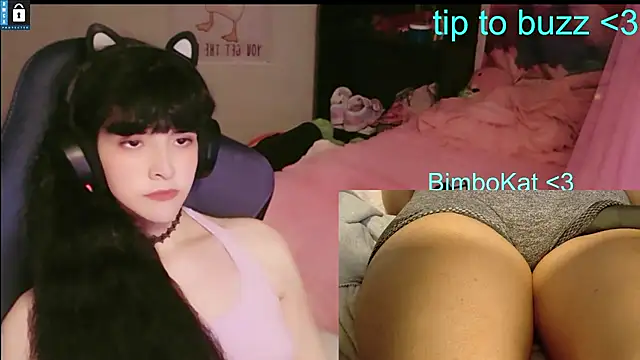 Show de BimboCat na webcam