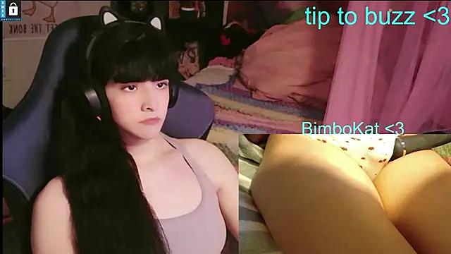 BimboCat: вебкам-шоу