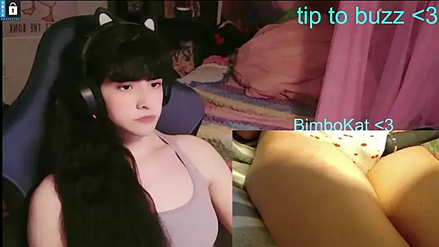Show de BimboCat na webcam