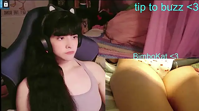 Pertunjukan Kamera Web BimboCat