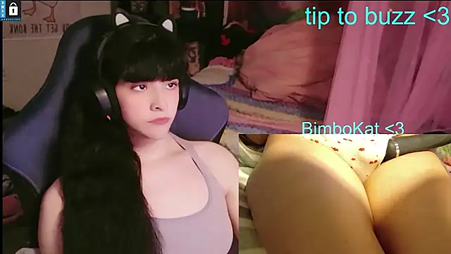 הופעת וובקאם של BimboCat