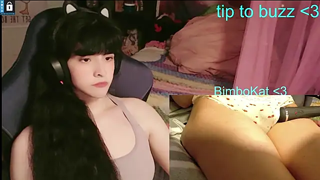 Show webcam de BimboCat