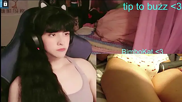 BimboCat's Webcam Show