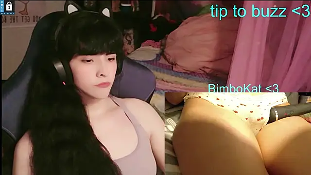 BimboCat: διαδικτυακό σόου στην κάμερα
