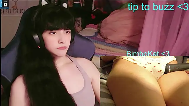 BimboCat webkamerás műsora