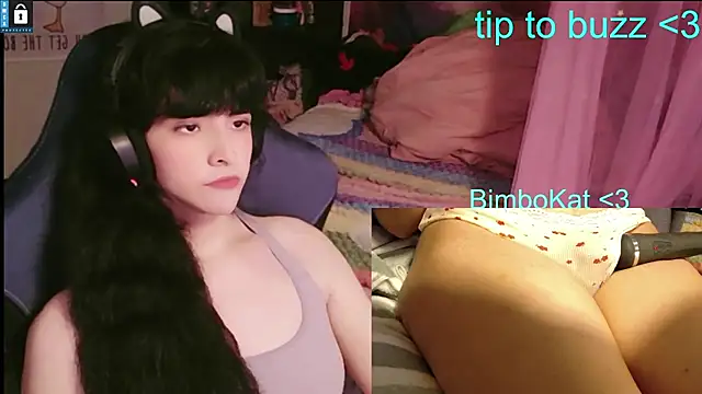 BimboCat Show in webcam