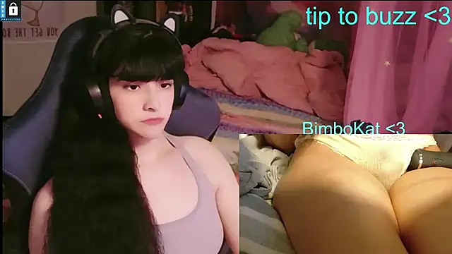 BimboCat: вебкам-шоу