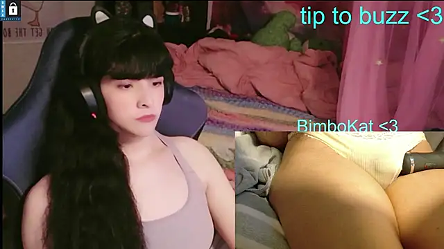 Show Webcam de BimboCat