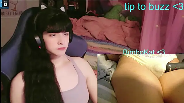 Show Webcam de BimboCat