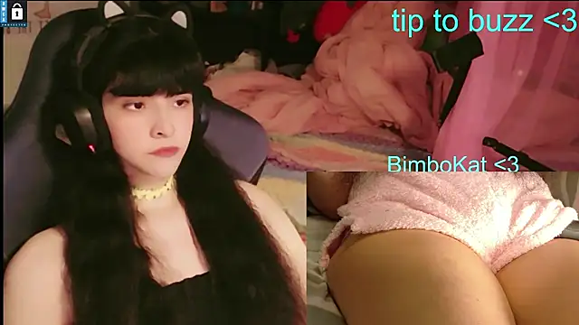Show webcam de BimboCat