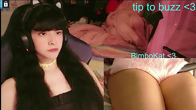 BimboCat Show in webcam