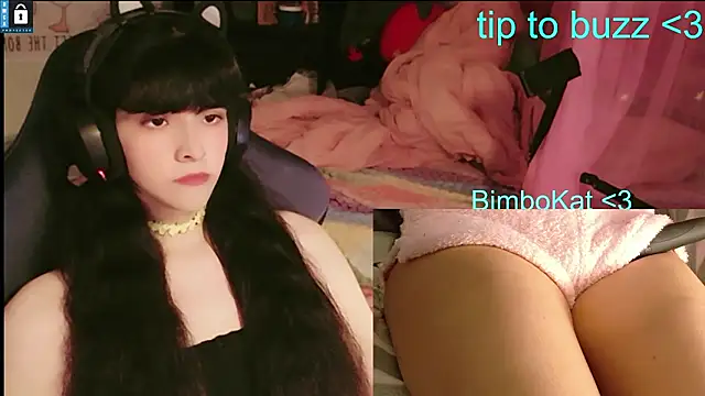 BimboCat Pertunjukan Webcam