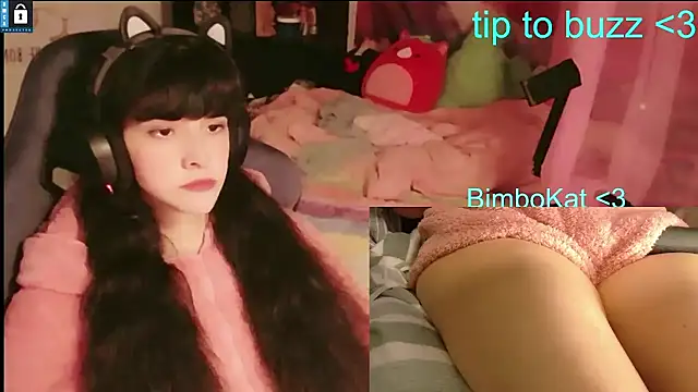 BimboCat 웹캠 쇼