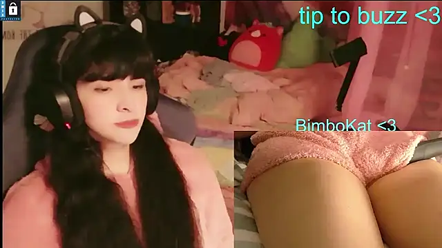 BimboCat Show in webcam