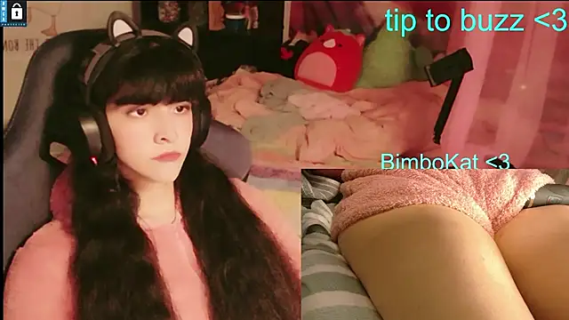BimboCat webkamerás műsora
