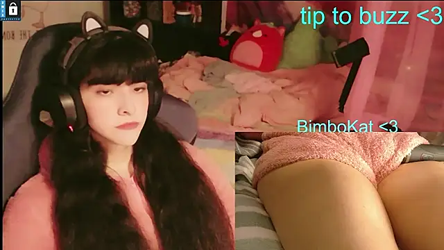 BimboCatのウェブカメラショー