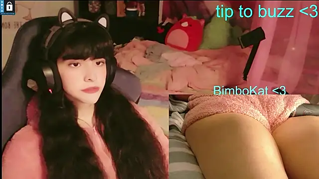 BimboCat Show in webcam