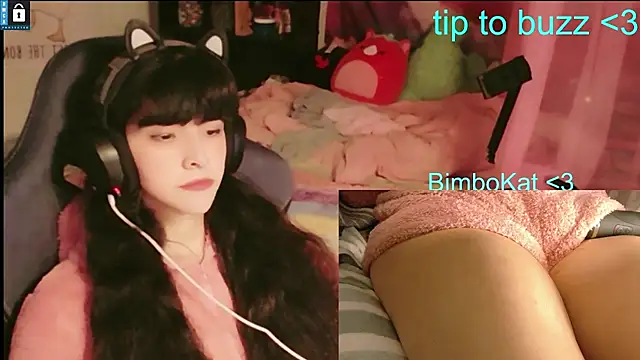 BimboCat 웹캠 쇼