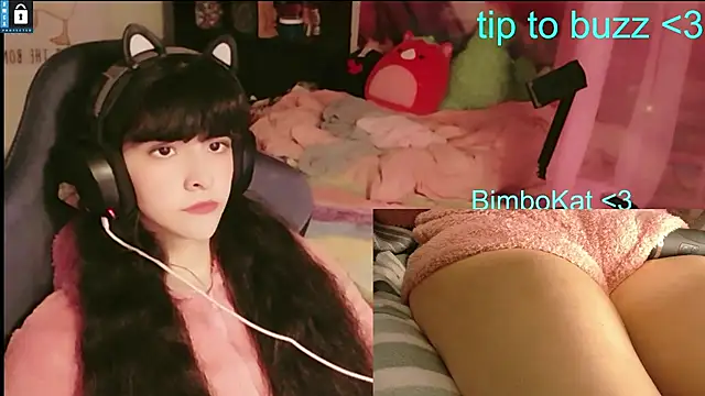 Show Webcam de BimboCat