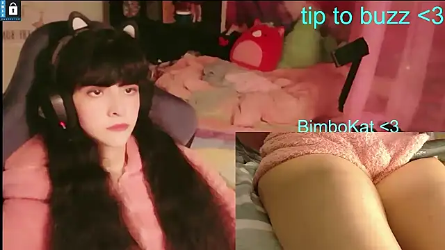 Show Webcam de BimboCat
