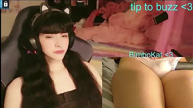 BimboCatのウェブカメラショー