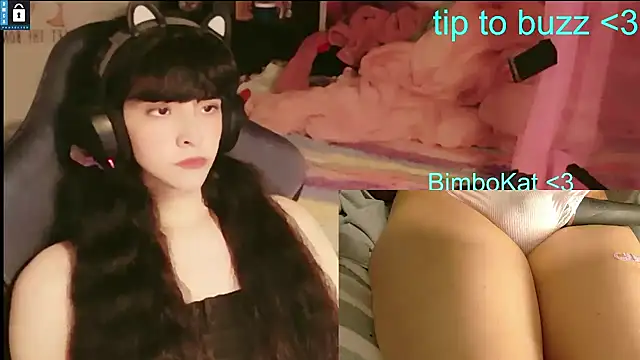 BimboCat Show in webcam