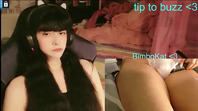 Show Webcam de BimboCat