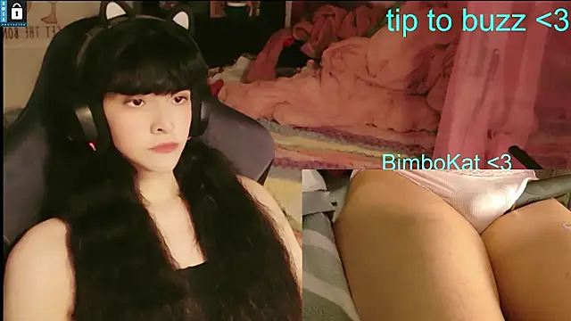 BimboCatのウェブカメラショー